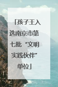 孩子王入选南京市第七批“文明实践伙伴”单位
