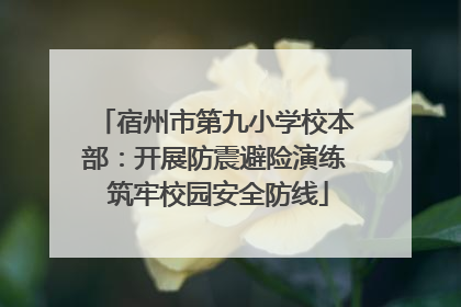 宿州市第九小学校本部：开展防震避险演练 筑牢校园安全防线
