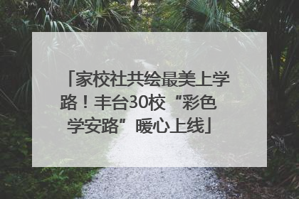 家校社共绘最美上学路！丰台30校“彩色学安路”暖心上线
