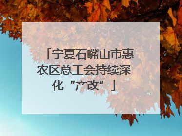 宁夏石嘴山市惠农区总工会持续深化“产改”