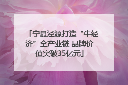 宁夏泾源打造“牛经济”全产业链 品牌价值突破35亿元