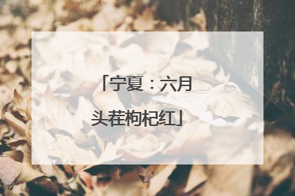 宁夏：六月头茬枸杞红