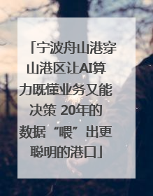 宁波舟山港穿山港区让AI算力既懂业务又能决策 20年的数据“喂”出更聪明的港口