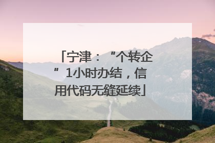 宁津：“个转企”1小时办结，信用代码无缝延续