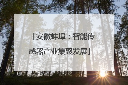 安徽蚌埠：智能传感器产业集聚发展