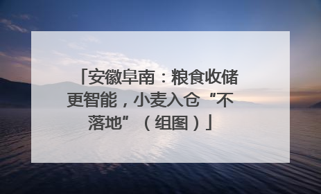 安徽阜南：粮食收储更智能，小麦入仓“不落地”（组图）