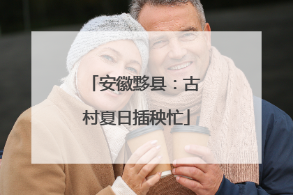安徽黟县：古村夏日插秧忙