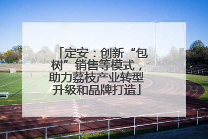 定安：创新“包树”销售等模式，助力荔枝产业转型升级和品牌打造