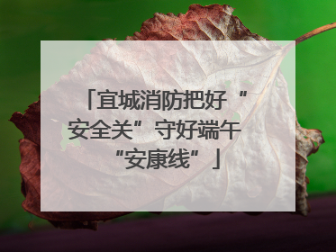 宜城消防把好“安全关”守好端午“安康线”