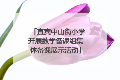 宜宾中山街小学开展数学备课组集体备课展示活动