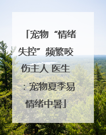 宠物“情绪失控”频繁咬伤主人 医生：宠物夏季易情绪中暑