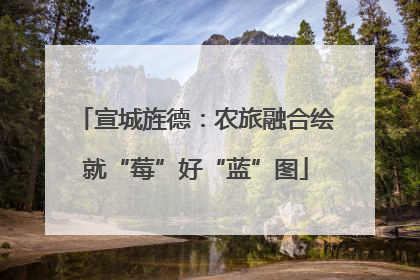 宣城旌德：农旅融合绘就“莓”好“蓝”图