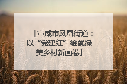 宣威市凤凰街道：以“党建红”绘就绿美乡村新画卷