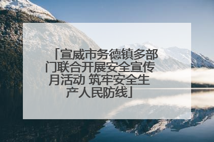 宣威市务德镇多部门联合开展安全宣传月活动 筑牢安全生产人民防线