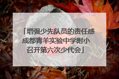增强少先队员的责任感 成都青羊实验中学附小召开第六次少代会