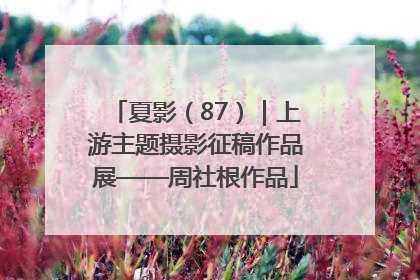 夏影（87）｜上游主题摄影征稿作品展——周社根作品