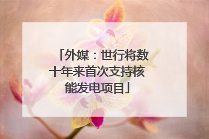 外媒：世行将数十年来首次支持核能发电项目