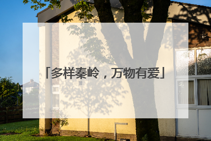 多样秦岭，万物有爱