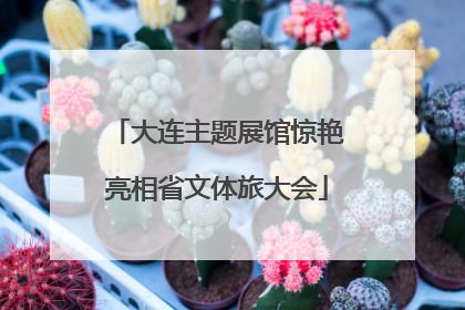 大连主题展馆惊艳亮相省文体旅大会