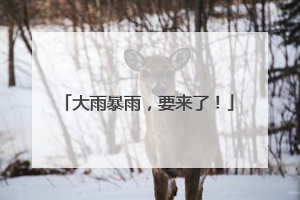 大雨暴雨，要来了！