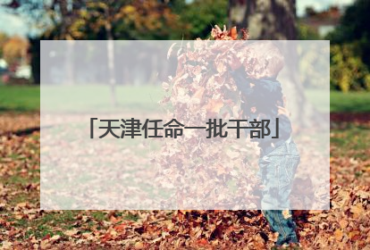 天津任命一批干部