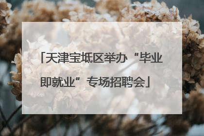 天津宝坻区举办“毕业即就业”专场招聘会
