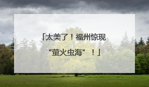 太美了！福州惊现“萤火虫海”！