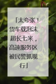 太夸张！货车载泡沫超长七米，高速服务区被民警抓现行