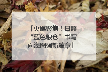 央媒聚焦！日照“蓝色粮仓”书写向海图强新篇章
