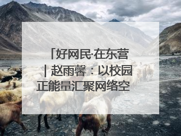 好网民·在东营｜赵雨馨：以校园正能量汇聚网络空间大流量