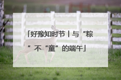 好豫知时节丨与“粽”不“童”的端午