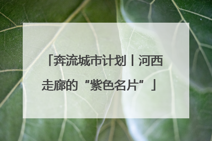 奔流城市计划丨河西走廊的“紫色名片”