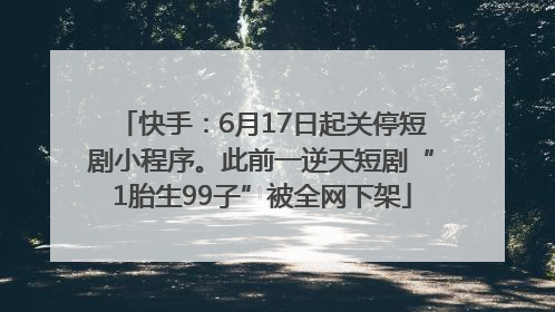 快手：6月17日起关停短剧小程序。此前一逆天短剧“1胎生99子”被全网下架