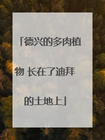 德兴的多肉植物 长在了迪拜的土地上