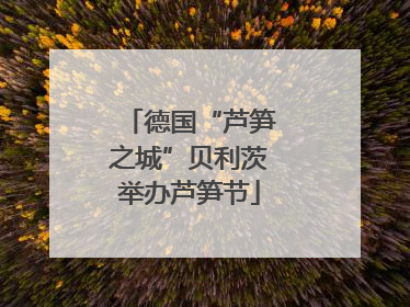 德国“芦笋之城”贝利茨举办芦笋节