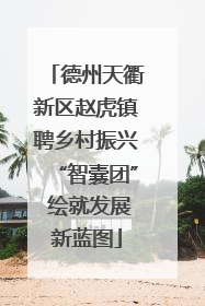 德州天衢新区赵虎镇聘乡村振兴“智囊团” 绘就发展新蓝图