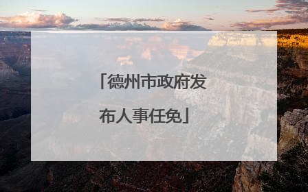 德州市政府发布人事任免