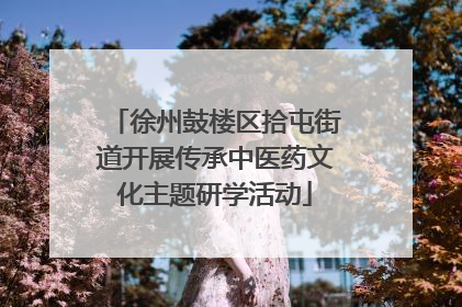 徐州鼓楼区拾屯街道开展传承中医药文化主题研学活动