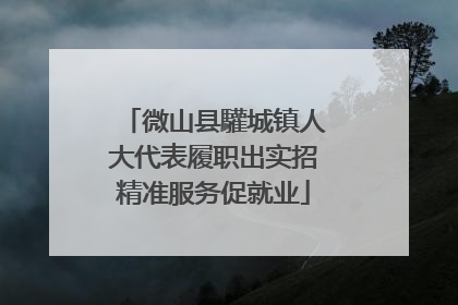 微山县驩城镇人大代表履职出实招精准服务促就业