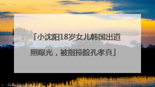 小沈阳18岁女儿韩国出道照曝光，被指撞脸孔孝真