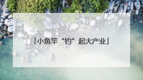小鱼竿“钓”起大产业