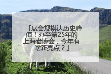 展会规模达历史峰值！办至第25年的上海老博会，今年有啥新亮点？
