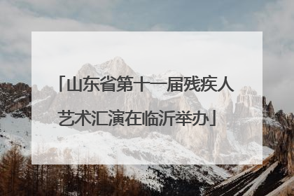 山东省第十一届残疾人艺术汇演在临沂举办