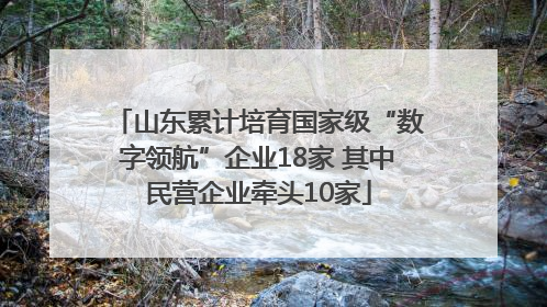 山东累计培育国家级“数字领航”企业18家 其中民营企业牵头10家