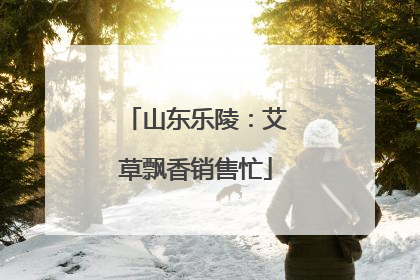 山东乐陵：艾草飘香销售忙