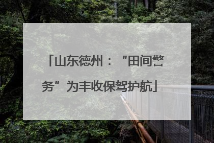 山东德州：“田间警务”为丰收保驾护航