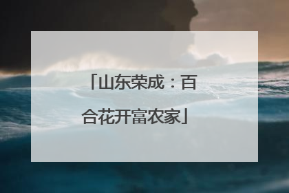 山东荣成：百合花开富农家