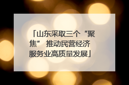 山东采取三个“聚焦” 推动民营经济服务业高质量发展