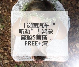 岚图汽车“听劝”！鸿蒙座舱5首搭，FREE+湾区车展实车内饰正式曝光