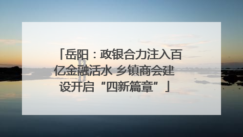 岳阳：政银合力注入百亿金融活水 乡镇商会建设开启“四新篇章”